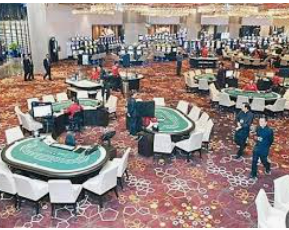 壹号168pg下载2024最新版